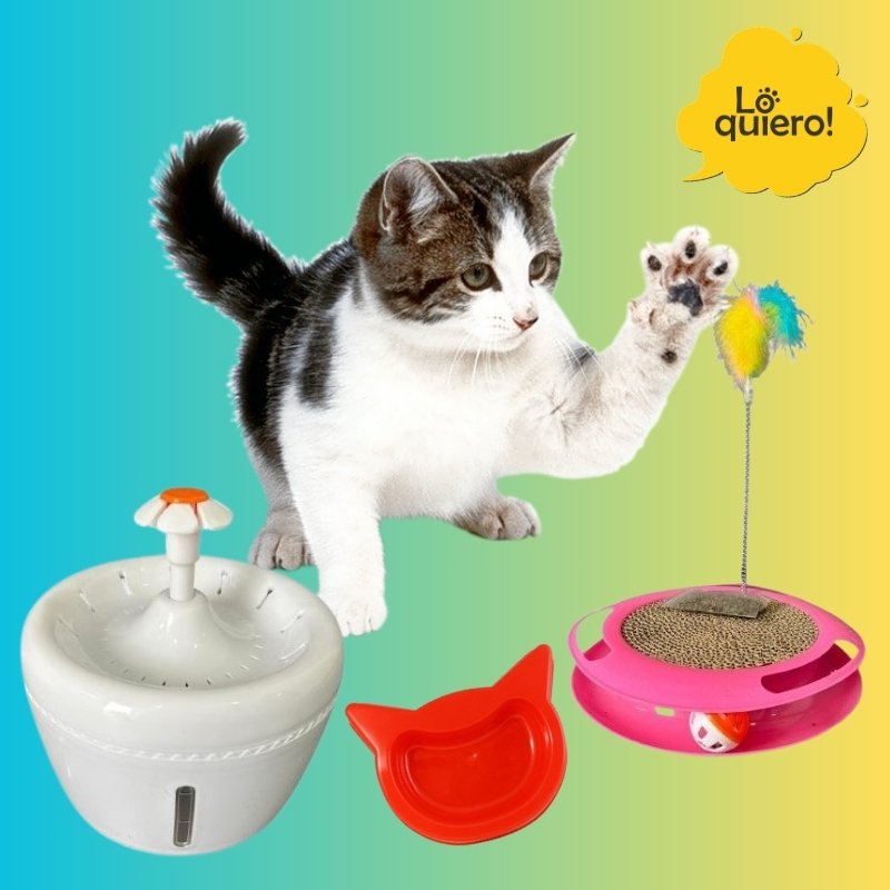 Kit Mascotas opción Gatitos